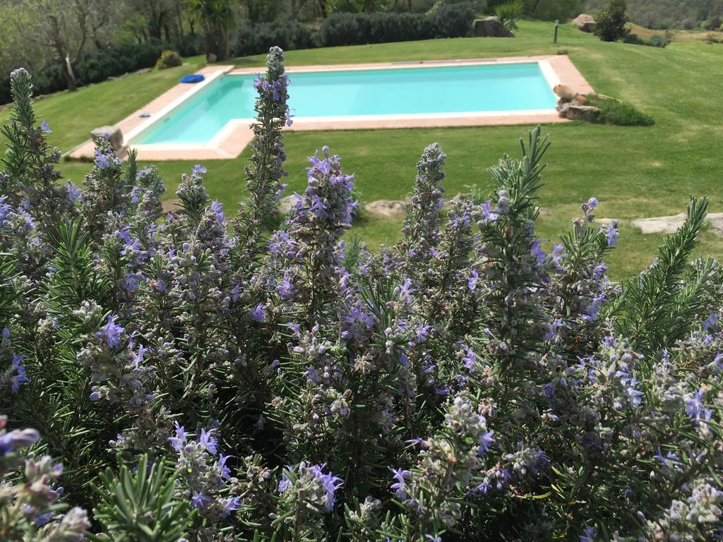 Agriturismo Podere S. Croce Saturnia Exteriér fotografie